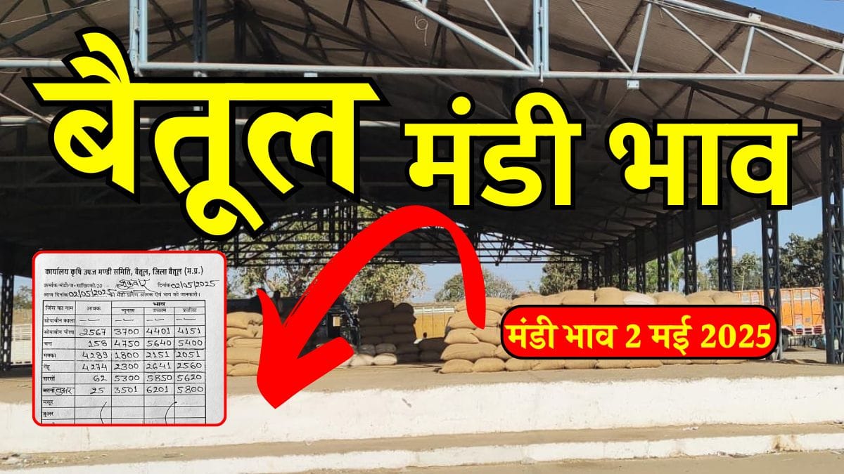 Betul Mandi Bhav 02 May 2025