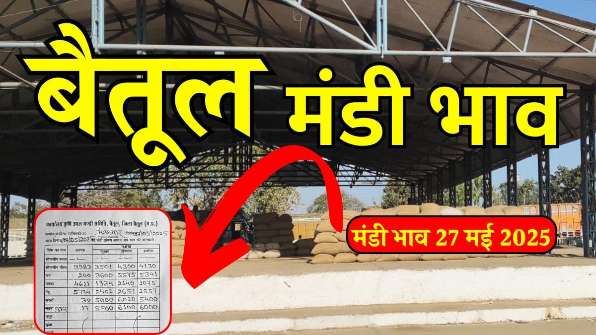 Betul Mandi Bhav 27 May 2025