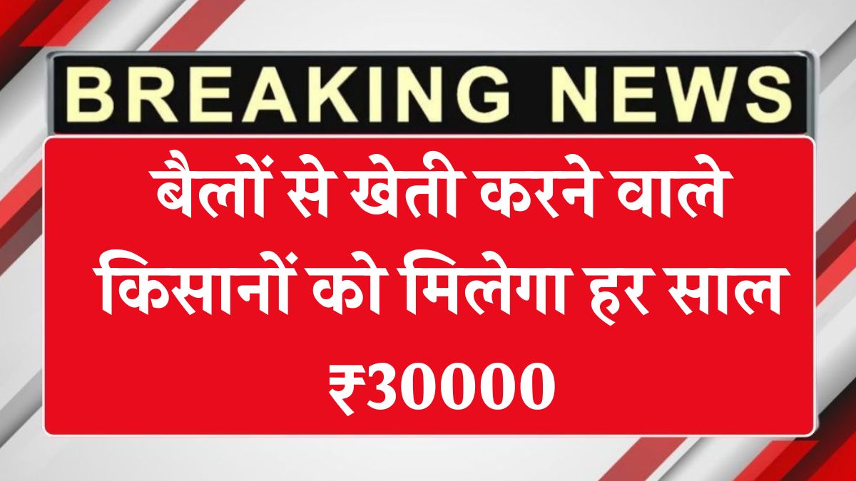 बैलों से खेती करने वाले किसानों को मिलेगा हर साल ₹30000