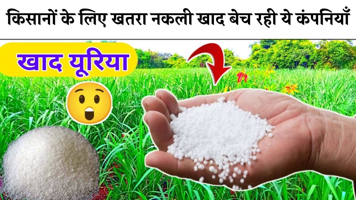 Urea fertilizer किसानों के लिए खतरा नकली खाद बेच रही ये कंपनियाँ