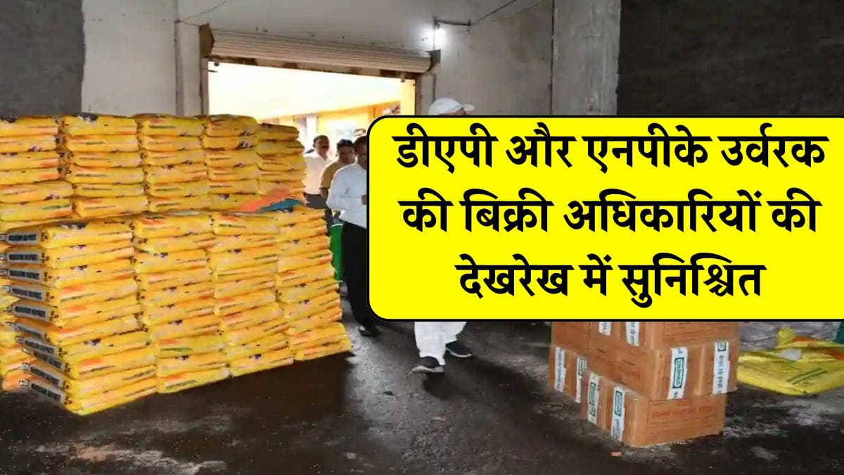 डीएपी और एनपीके उर्वरक की बिक्री अधिकारियों की देखरेख में सुनिश्चित