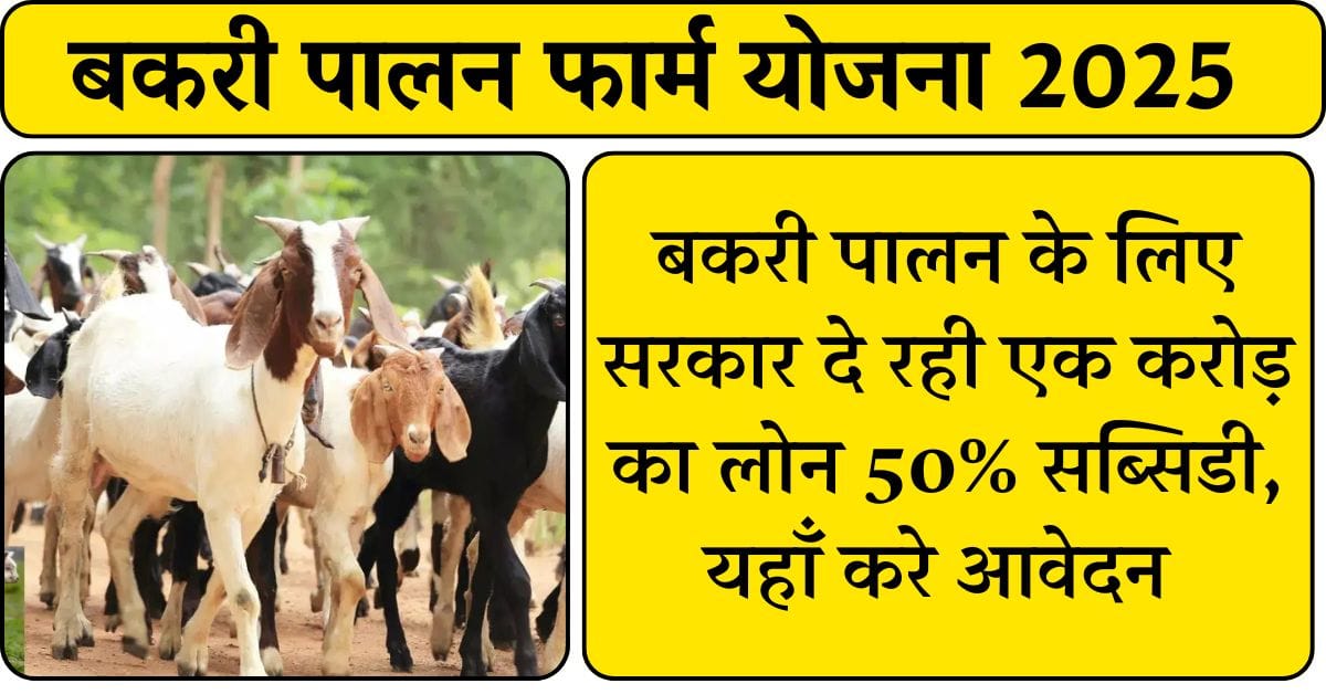 Bakri Palan Farm Yojana 2025: बकरी पालन के लिए सरकार दे रही एक करोड़ का लोन 50% सब्सिडी, यहाँ करे आवेदन