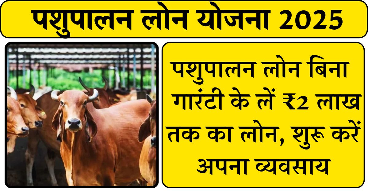 Pashupalan Loan Yojana 2025: पशुपालन लोन ना गारंटी के लें ₹2 लाख तक का लोन, शुरू करें अपना व्यवसाय