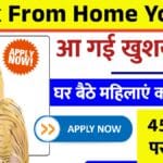 मुख्यमंत्री वर्क फ्रॉम होम योजना