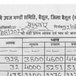 Betul Mandi Bhav: बैतूल मंडी में गेहूं के भाव गिरे, तुअर के दाम में आई तूफानी तेजी