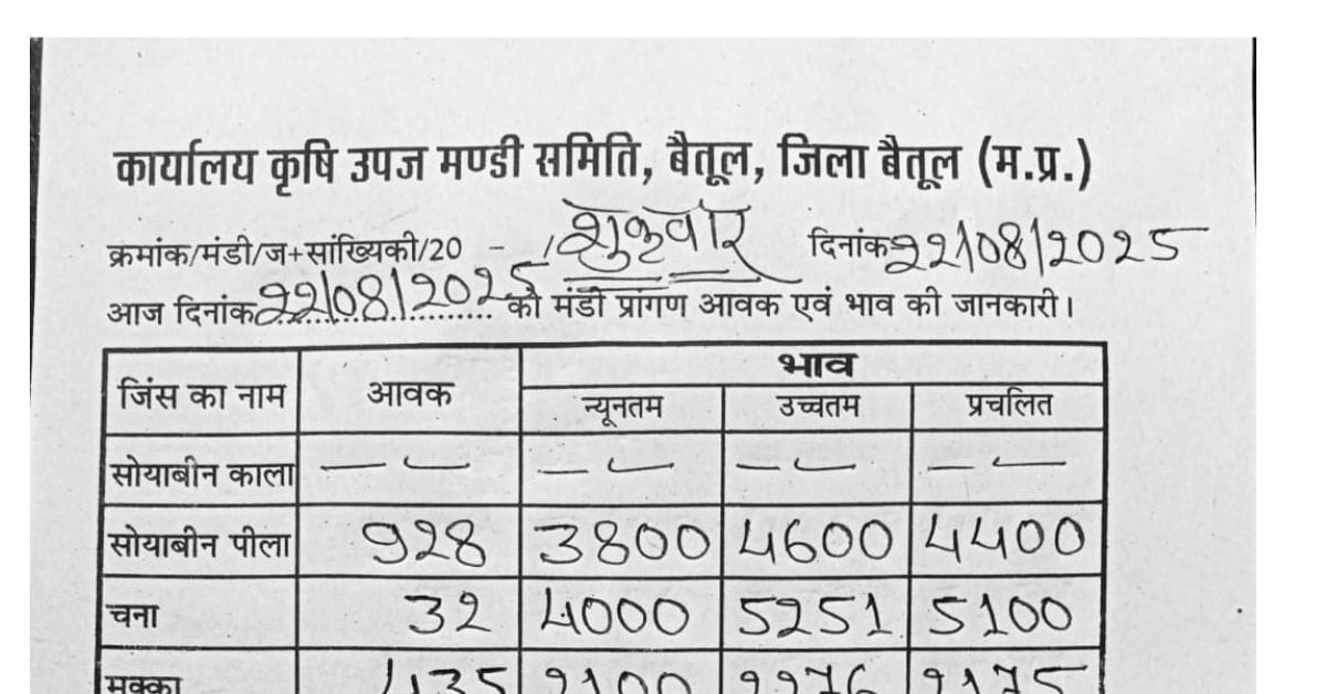 Betul Mandi Bhav: बैतूल मंडी में गेहूं के भाव गिरे, तुअर के दाम में आई तूफानी तेजी