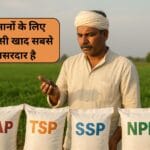 DAP, TSP, SSP और NPK में क्या फर्क है? किसानों के लिए कौन-सी खाद सबसे असरदार है | 2025 का सबसे सरल गाइड