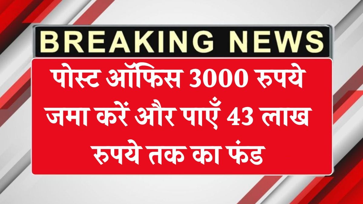 Post Office Insurance Plan 2025: पोस्ट ऑफिस 3000 रुपये जमा करें और पाएँ 43 लाख रुपये तक का फंड