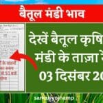 Aaj Ka Mandi Bhav: देखें बैतूल कृषि उपज मंडी के ताज़ा रेट – 03 दिसंबर 2025