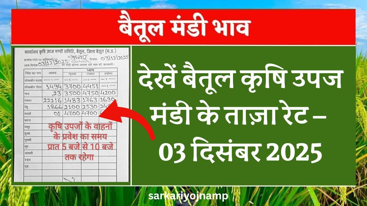 Aaj Ka Mandi Bhav: देखें बैतूल कृषि उपज मंडी के ताज़ा रेट – 03 दिसंबर 2025