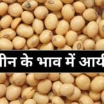 Soyabeen Bhaw Today : सोयाबीन के भाव में आयी तेजी, आज का ताज़ा भाव