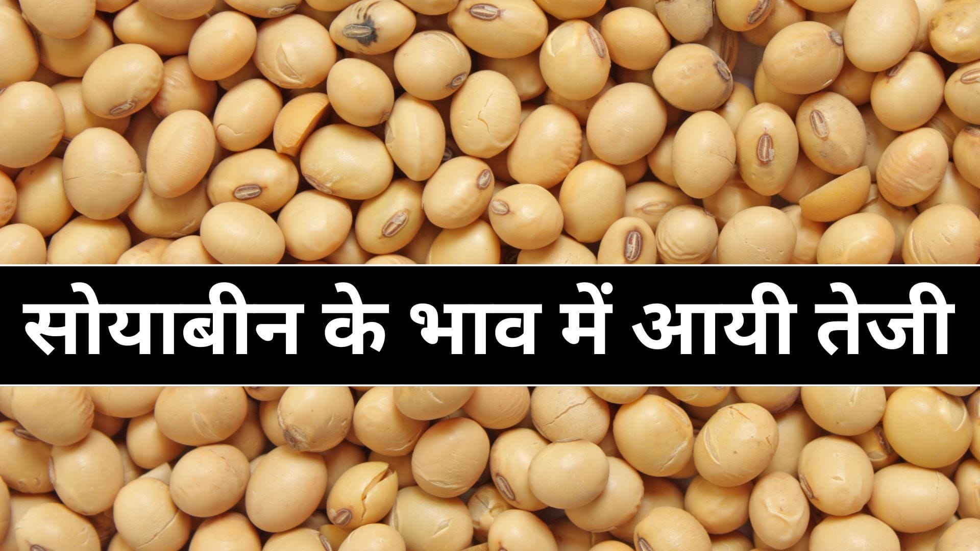 Soyabeen Bhaw Today : सोयाबीन के भाव में आयी तेजी, आज का ताज़ा भाव