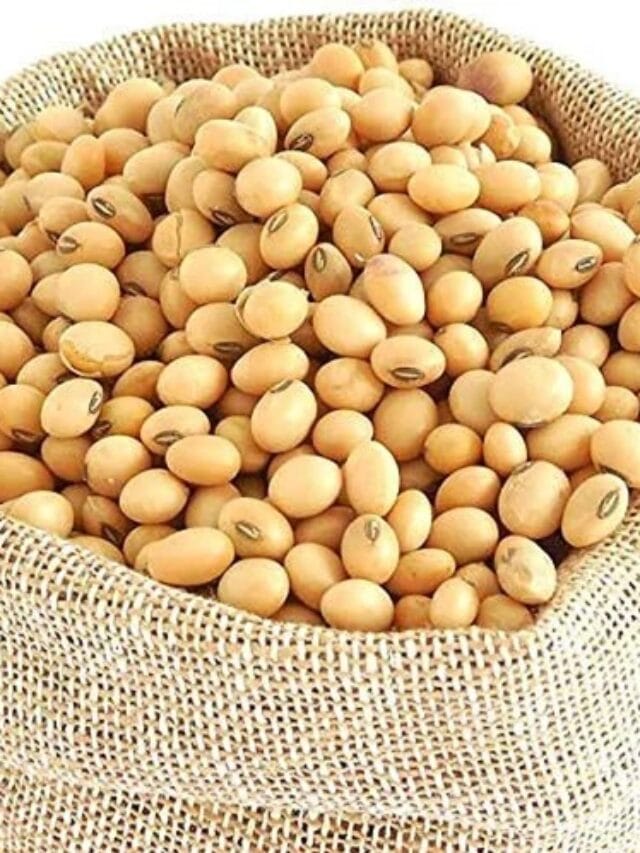 सोयाबीन के दामों में भूचाल, एक झटके में 500 रुपये की तेजी – मंडी से आई बड़ी खबर